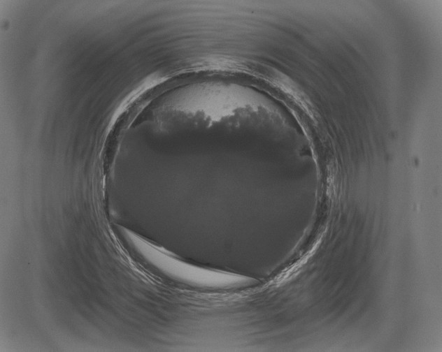 X0000084581117200703021522