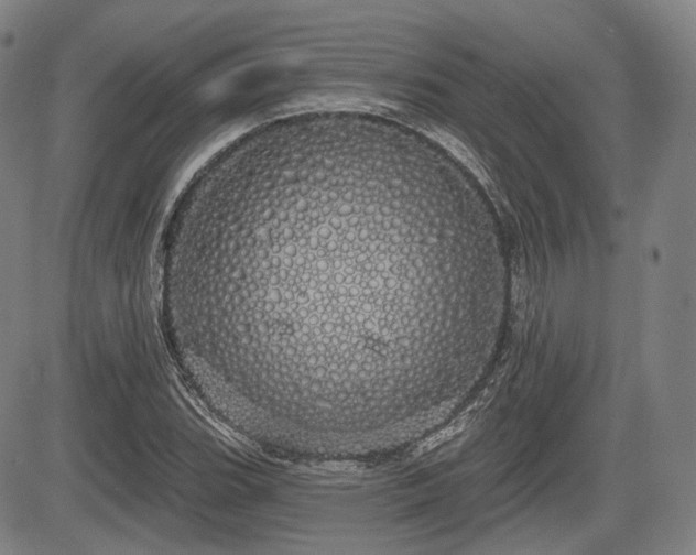 X0000084581119200703021522