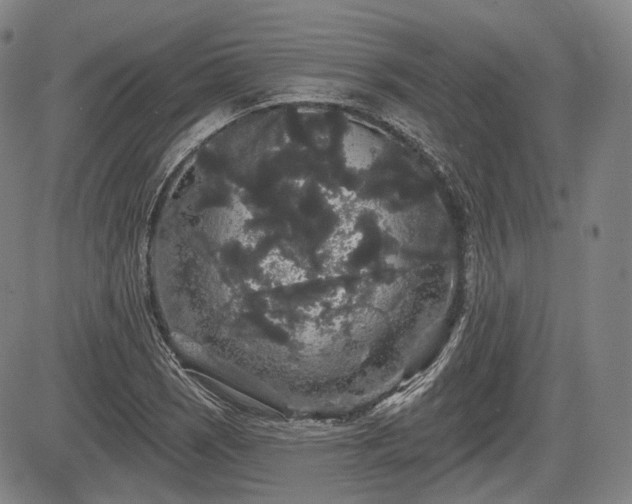 X0000084581121200703021522
