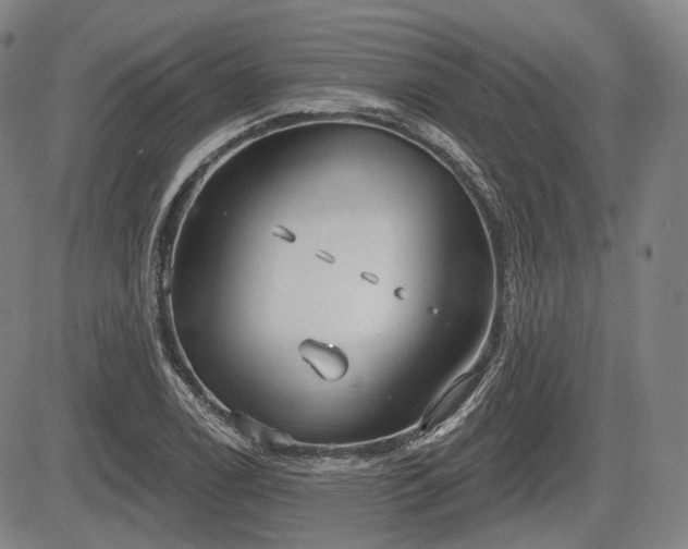 X0000084581122200703021522