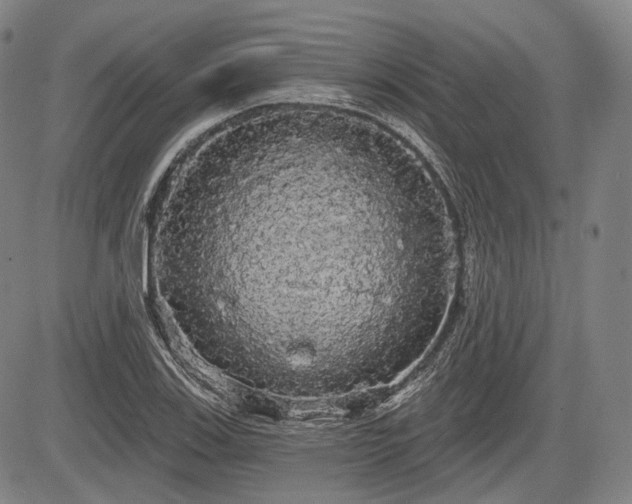 X0000084581123200703021522