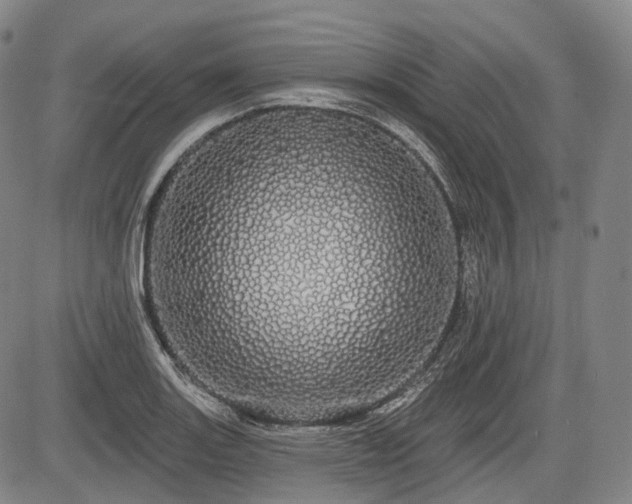 X0000084581131200703021522