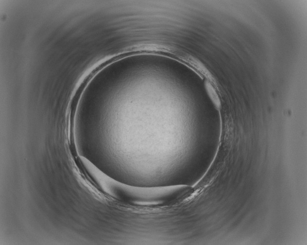 X0000084581132200703021522