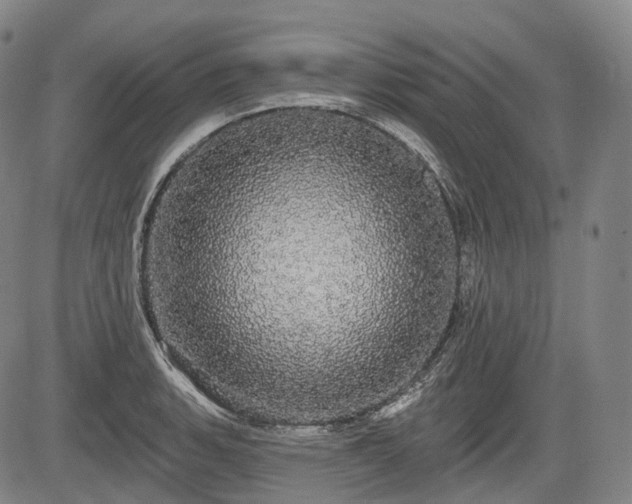 X0000084581135200703021522
