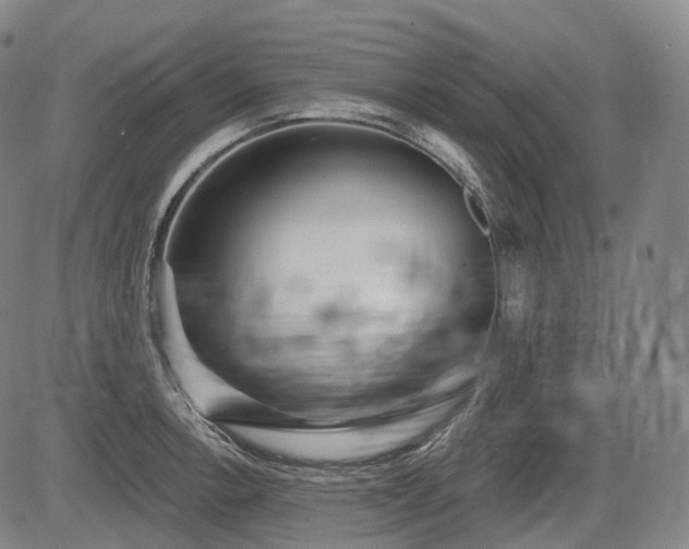 X0000084581138200703021522