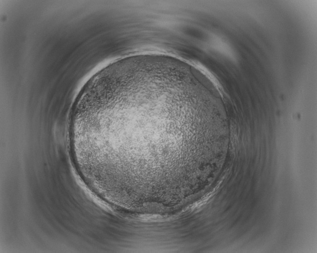 X0000084581142200703021522