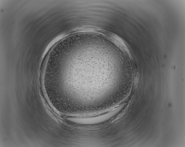 X0000084581146200703021523