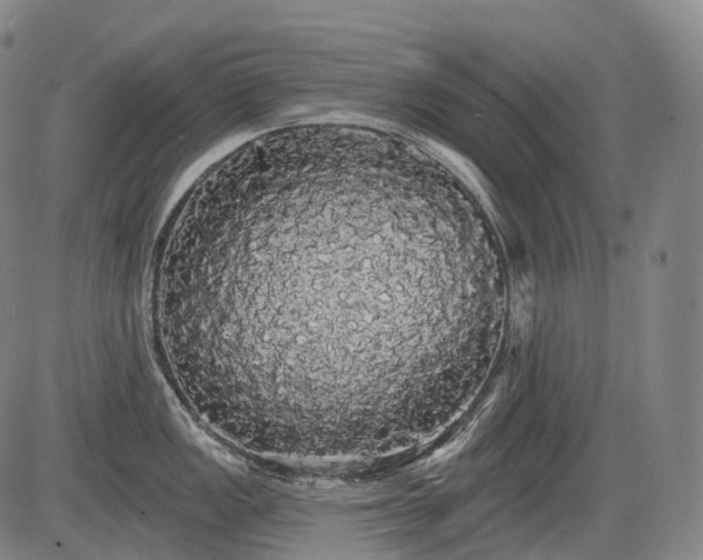 X0000084581149200703021523