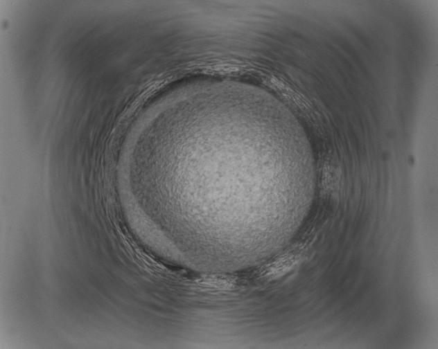 X0000084581153200703021522