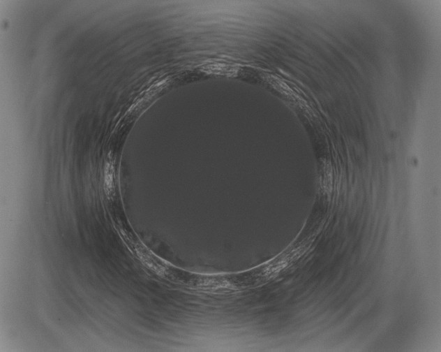 X0000084581154200703021522
