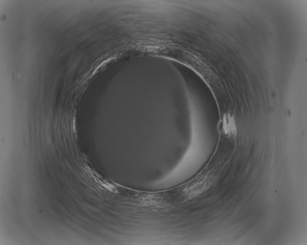 X0000084581155200703021522