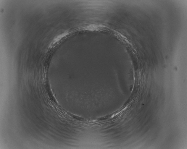 X0000084581158200703021522