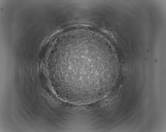 X0000084581159200703021522