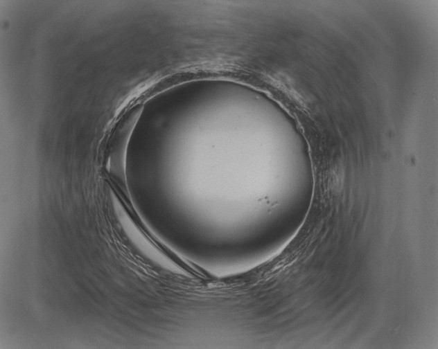 X0000084581160200703021522