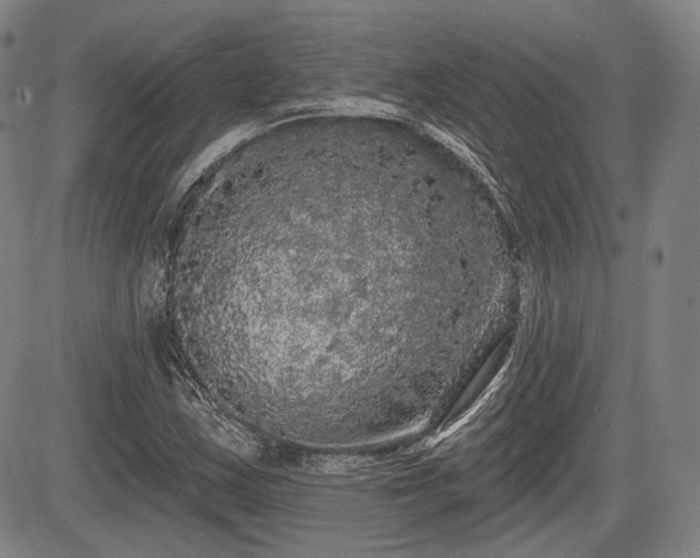 X0000084581163200703021522
