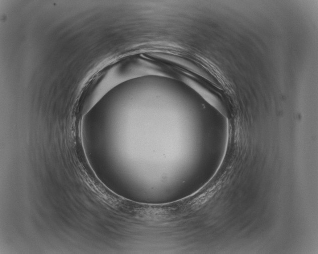 X0000084581164200703021522