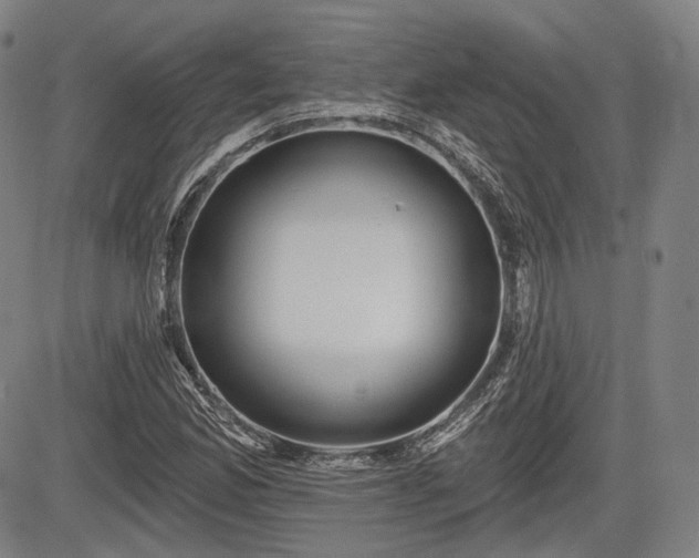 X0000084581165200703021522