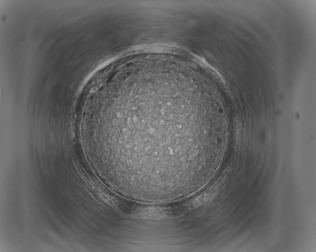 X0000084581166200703021522