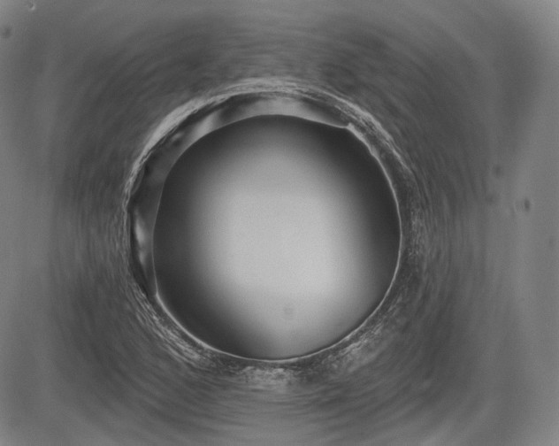 X0000084581168200703021522