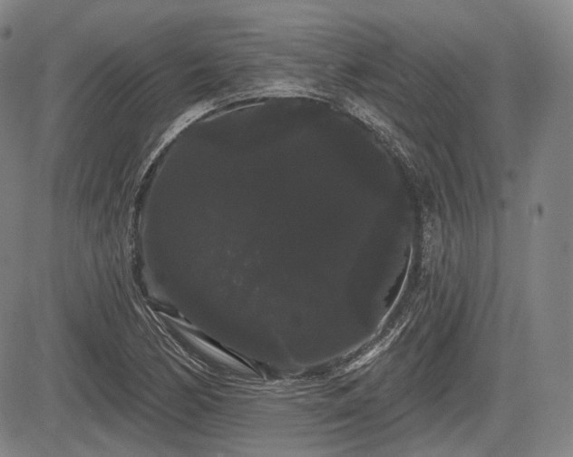X0000084581170200703021521