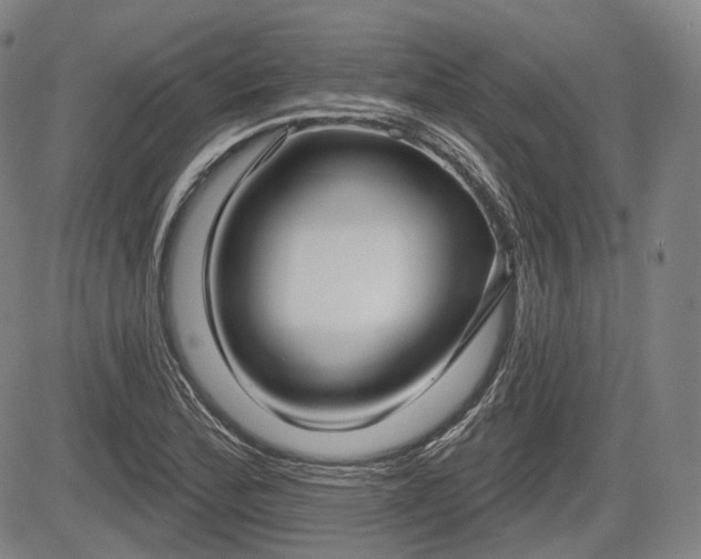 X0000084581172200703021521