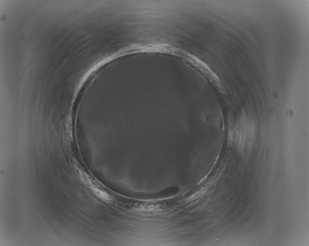 X0000084581174200703021521