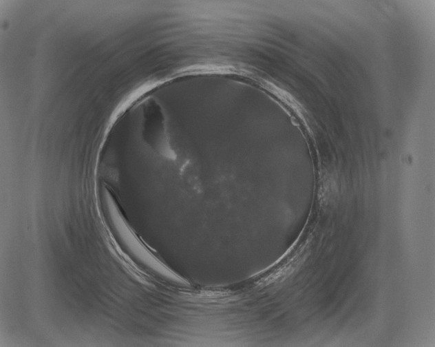 X0000084581179200703021521
