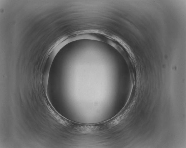 X0000084581193200703021521