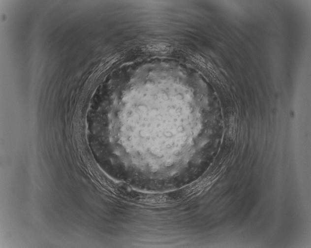 X0000084581201200703021520