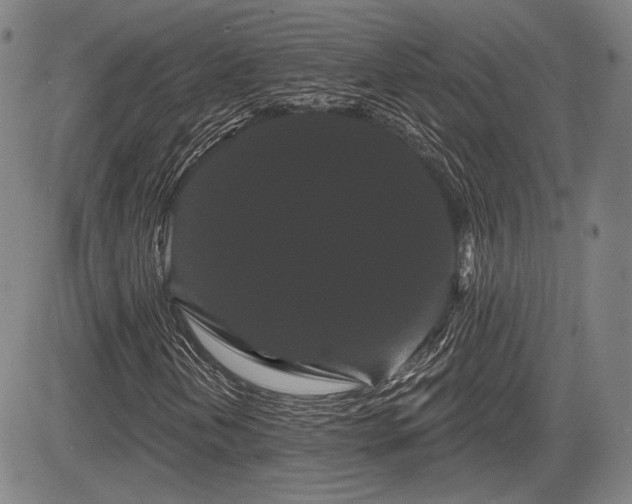 X0000084581202200703021520
