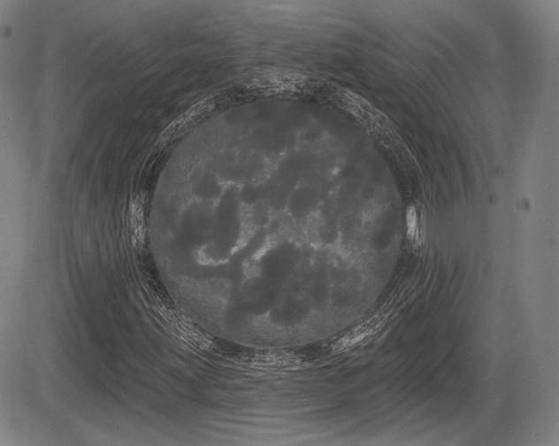 X0000084581203200703021520