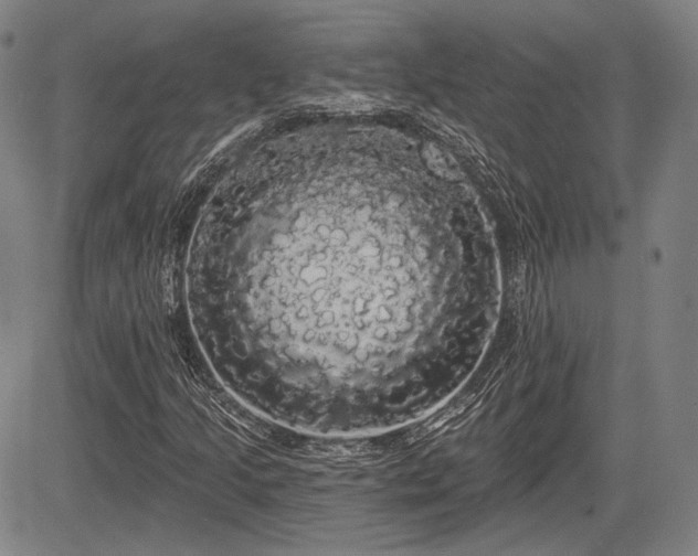 X0000084581205200703021520
