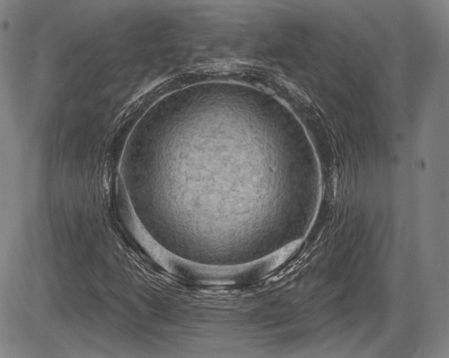 X0000084581206200703021520