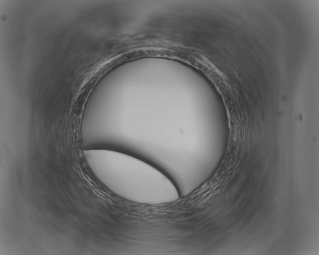 X0000084581208200703021520