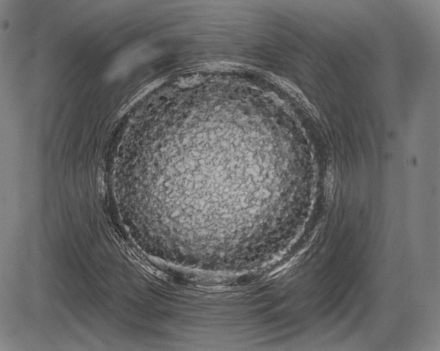 X0000084581209200703021520