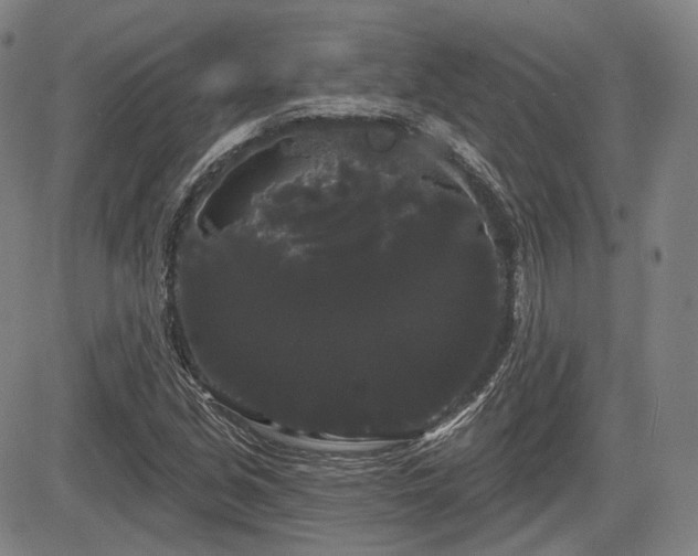 X0000084581213200703021520