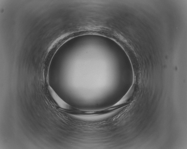 X0000084581214200703021520