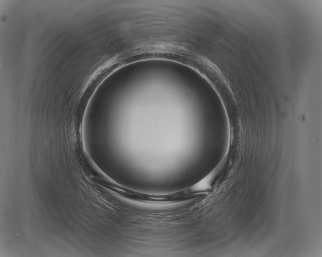 X0000084581218200703021520