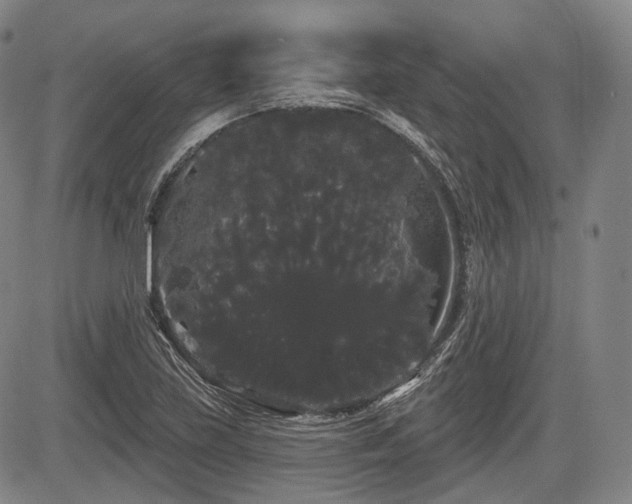 X0000084581219200703021520