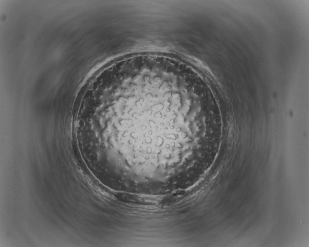 X0000084581220200703021520