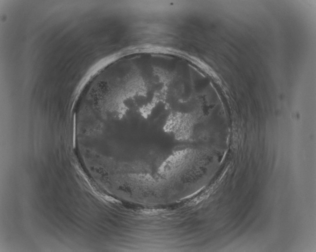X0000084581223200703021520