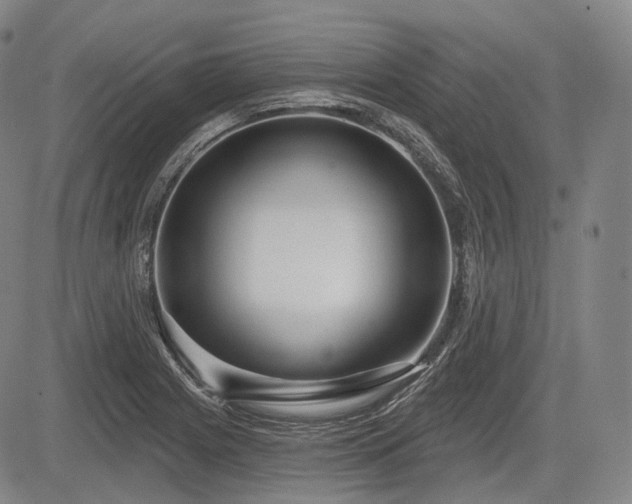 X0000084581225200703021520