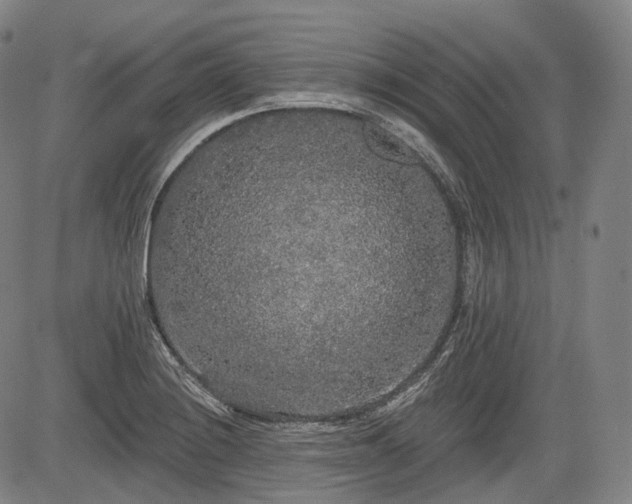 X0000084581228200703021521