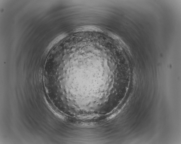 X0000084581233200703021521