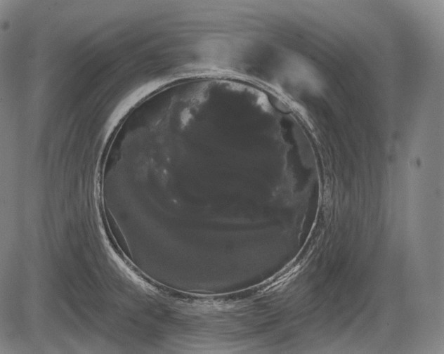 X0000084581239200703021521