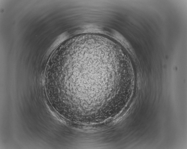 X0000084581241200703021521