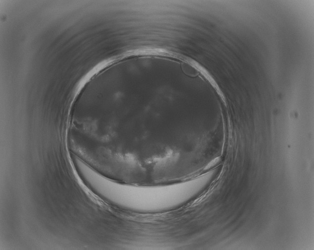 X0000084581245200703021521