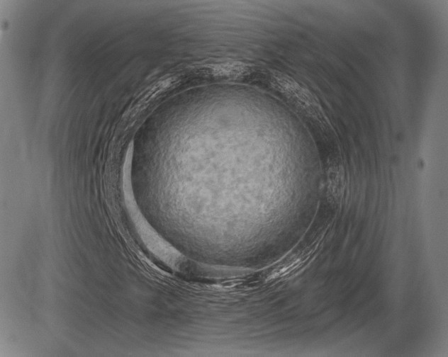X0000084581249200703021520
