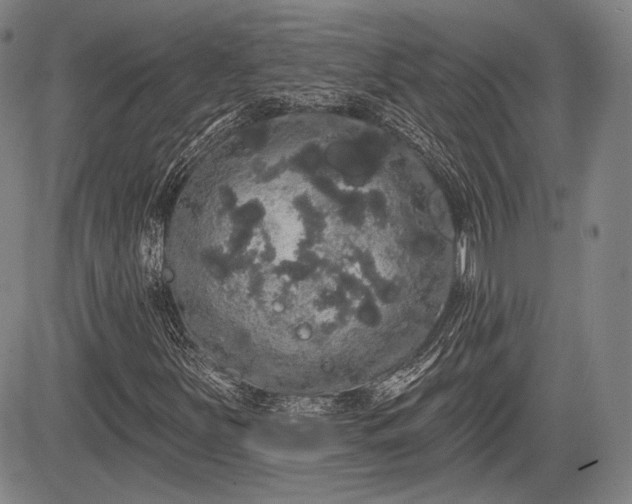 X0000084581251200703021520