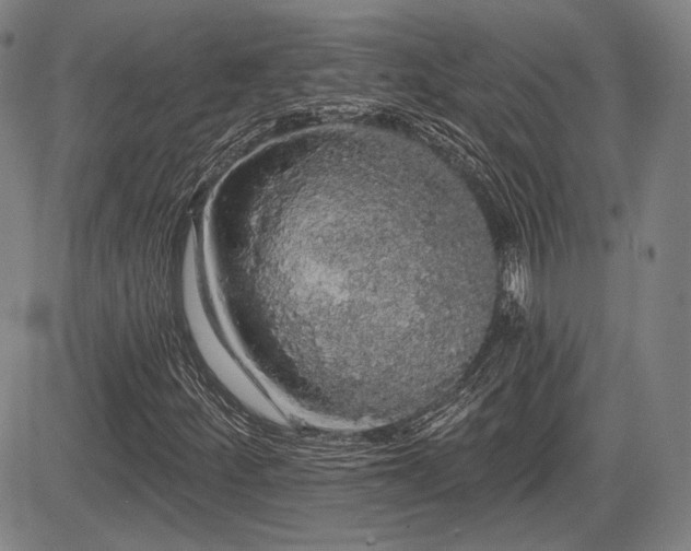 X0000084581252200703021520